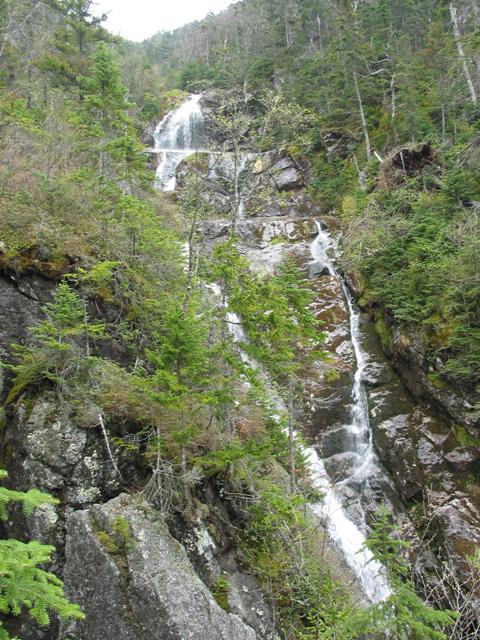 Cascade on Ammie.JPG